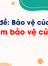 Bài 8 Em bảo vệ của công
